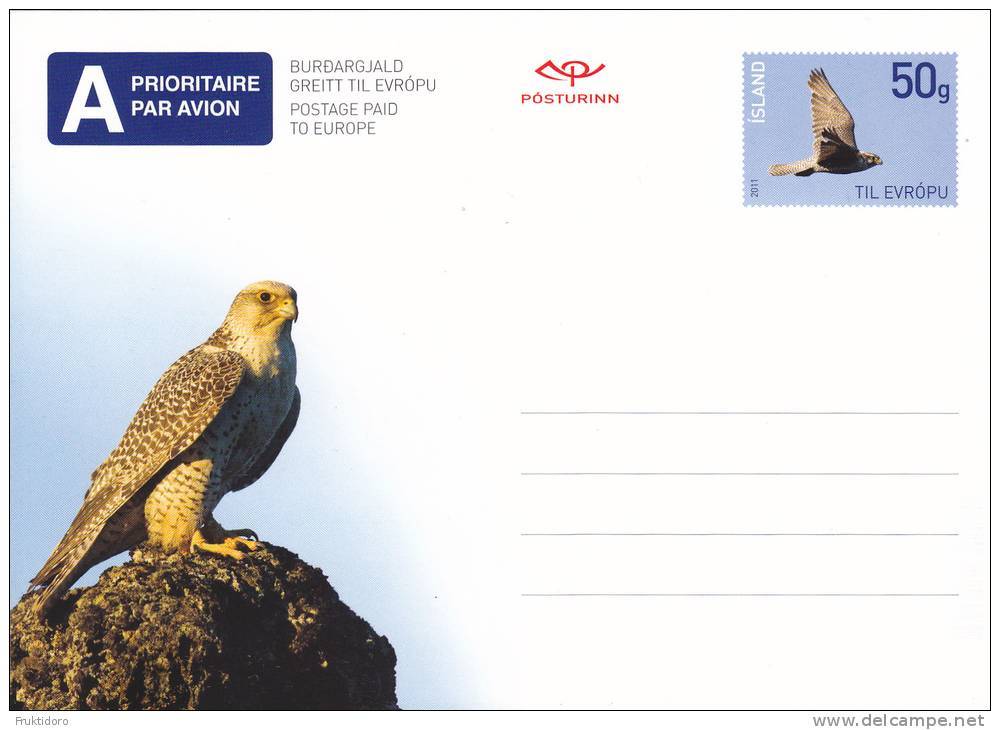 Iceland Island Islandia 2010 Postal Stationery - Letter Card Bird : Falcon - Postwaardestukken