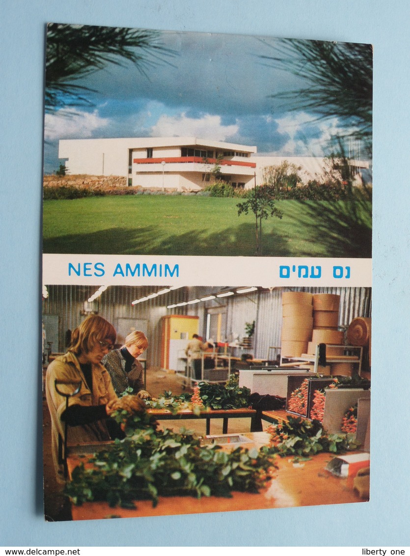 NES AMMIM > Stamp Anno 1979 ( See/voir Photo Detail ) ! - Israel