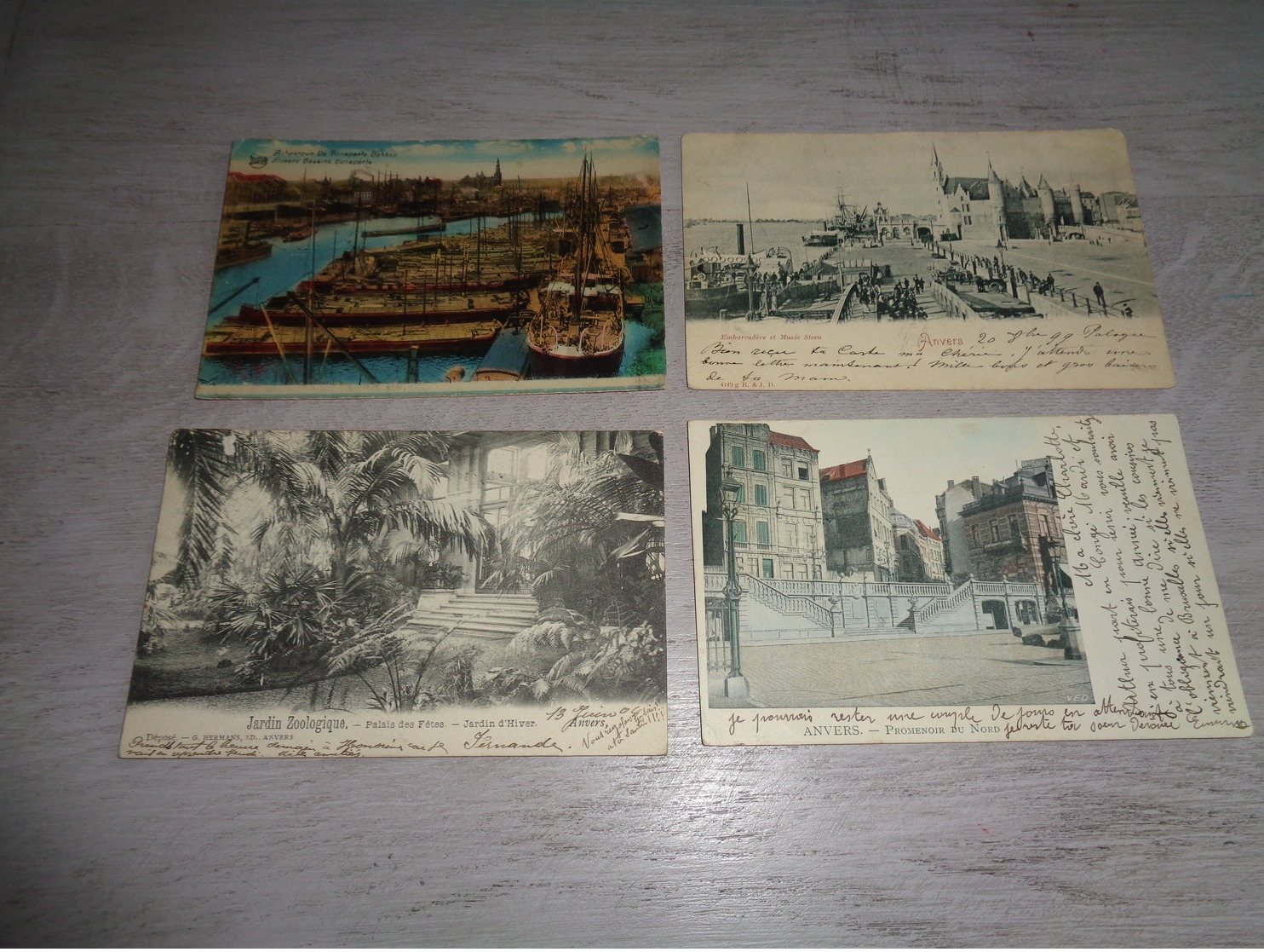 Beau lot de 60 cartes postales de Belgique  Anvers      Mooi lot van 60 postkaarten van België  Antwerpen - 60 scans