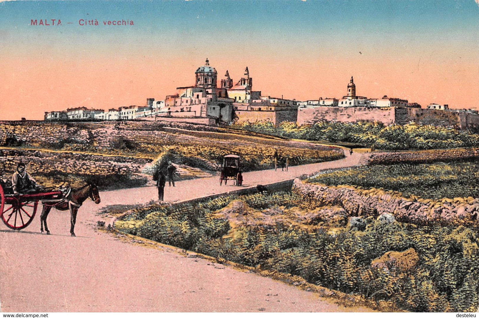 MALTA Citta Vecchia Postcard - Malte