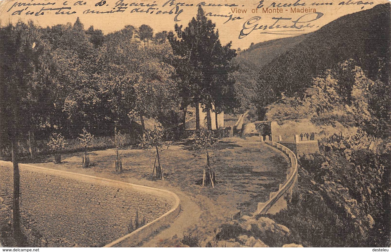 View Of Monte Madeira - Madeira