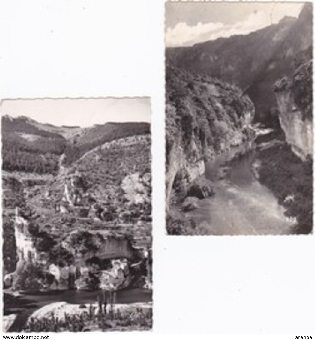 48 -- Lozère -- Lot De 12 Cartes - Other & Unclassified