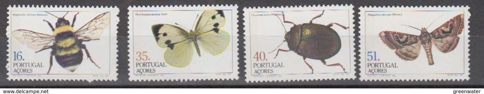 Azores 1984 Insects 4v ** Mnh (44332A) - Azoren
