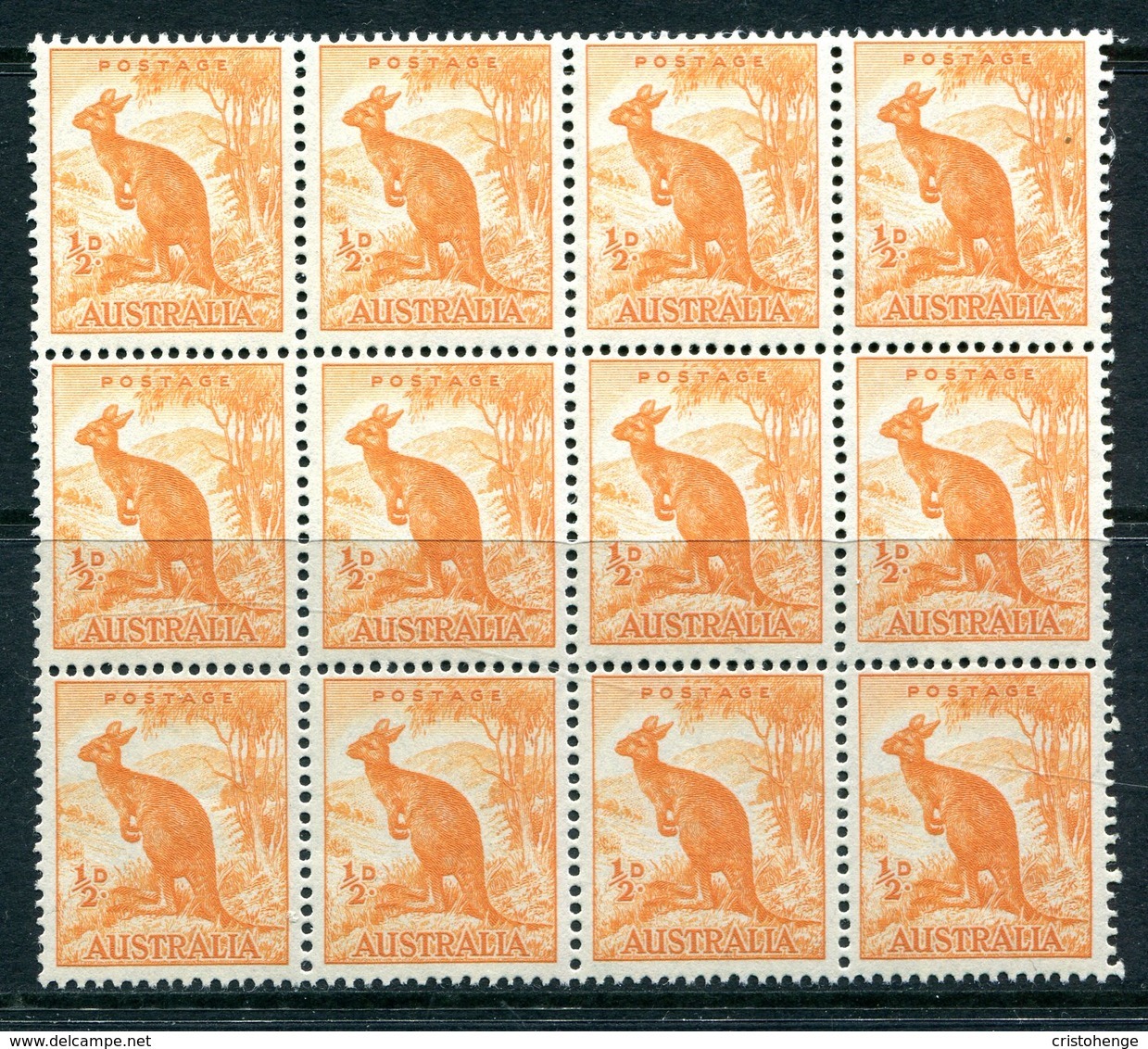 Australia 1948-56 Definitives - No. Wmk. - ½d Kangaroo Block Of 12 MNH (SG 228) - Mint Stamps