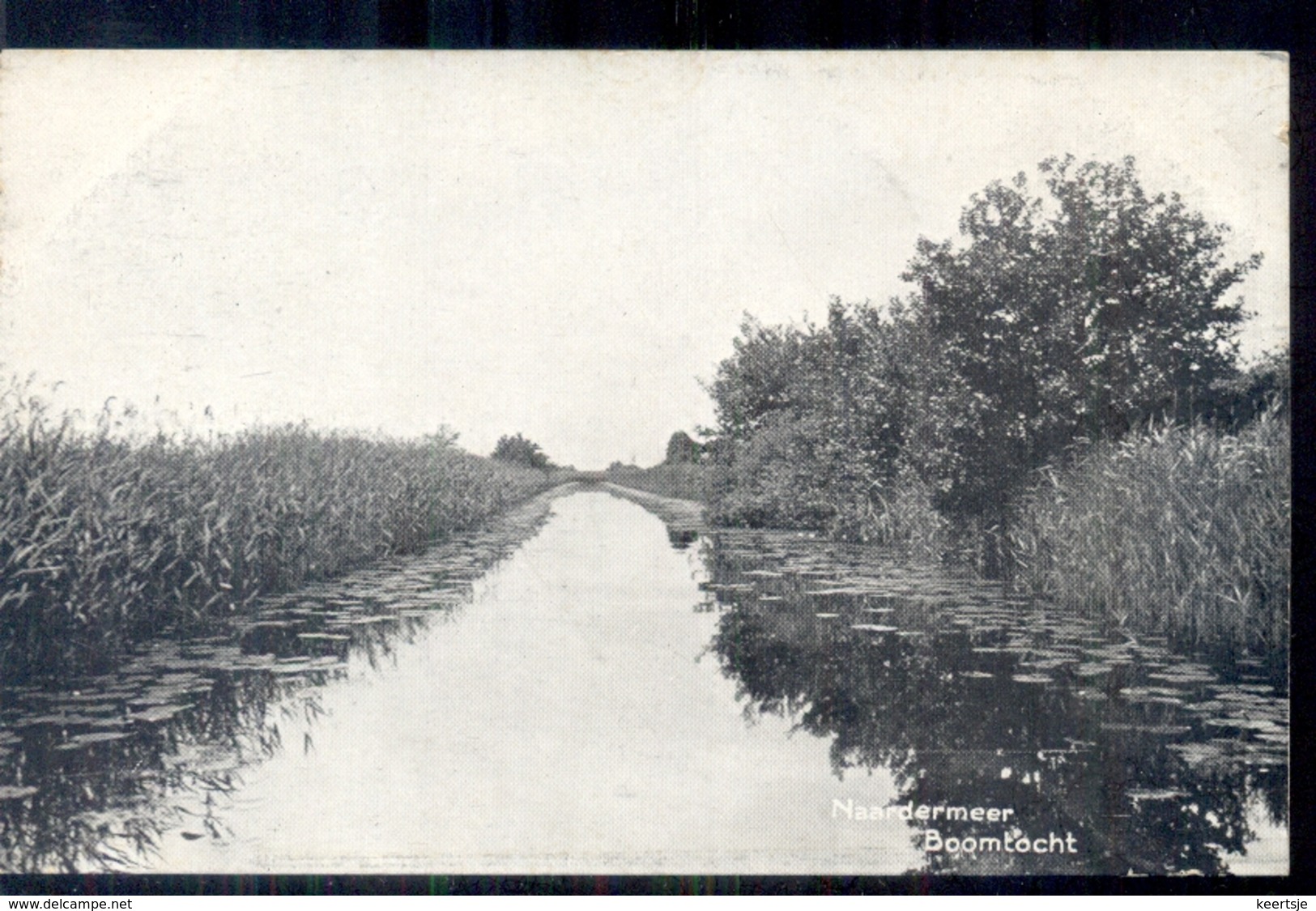 Naardermeer - Boomtocht - 1920 - Autres & Non Classés