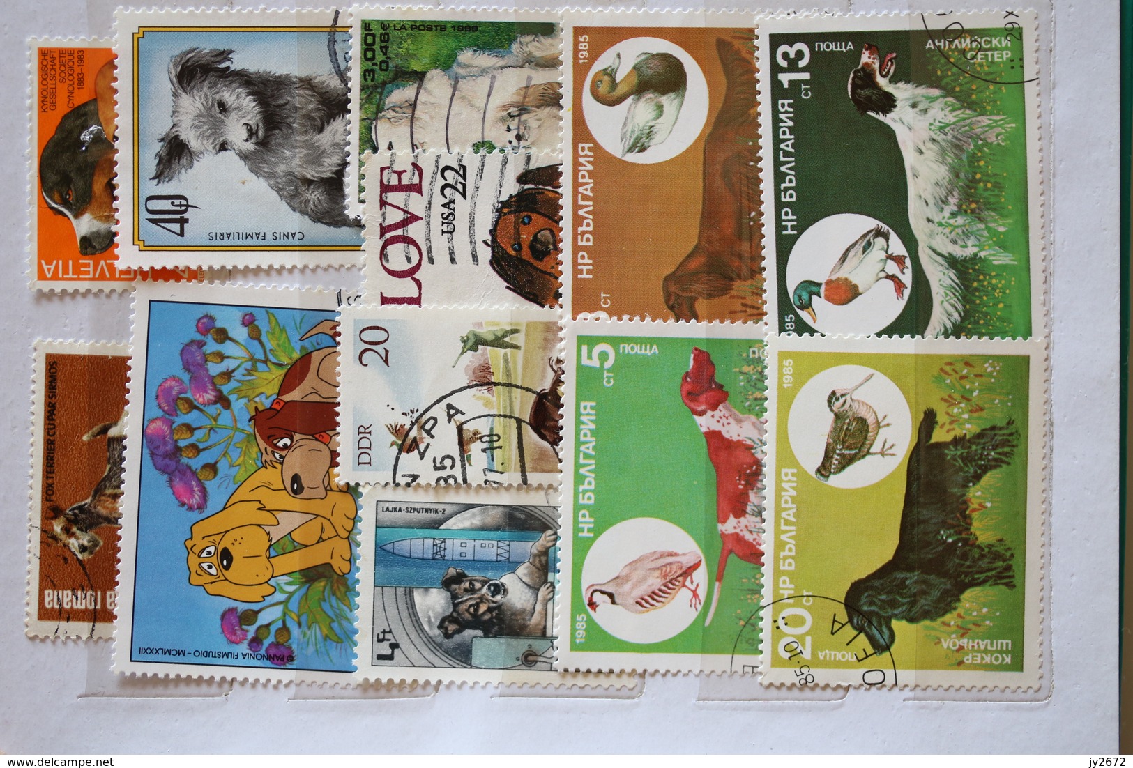 Collection Timbres Animaux, Chiens, Chats, Insectes, Felins Etc - Collections (en Albums)