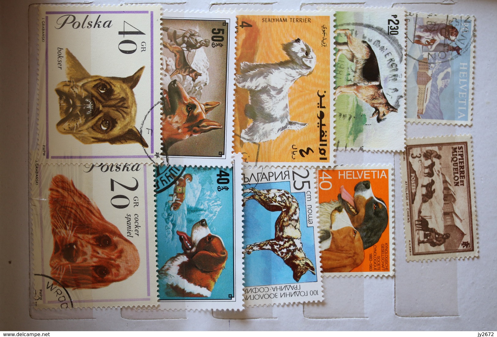 Collection Timbres Animaux, Chiens, Chats, Insectes, Felins Etc - Collections (en Albums)