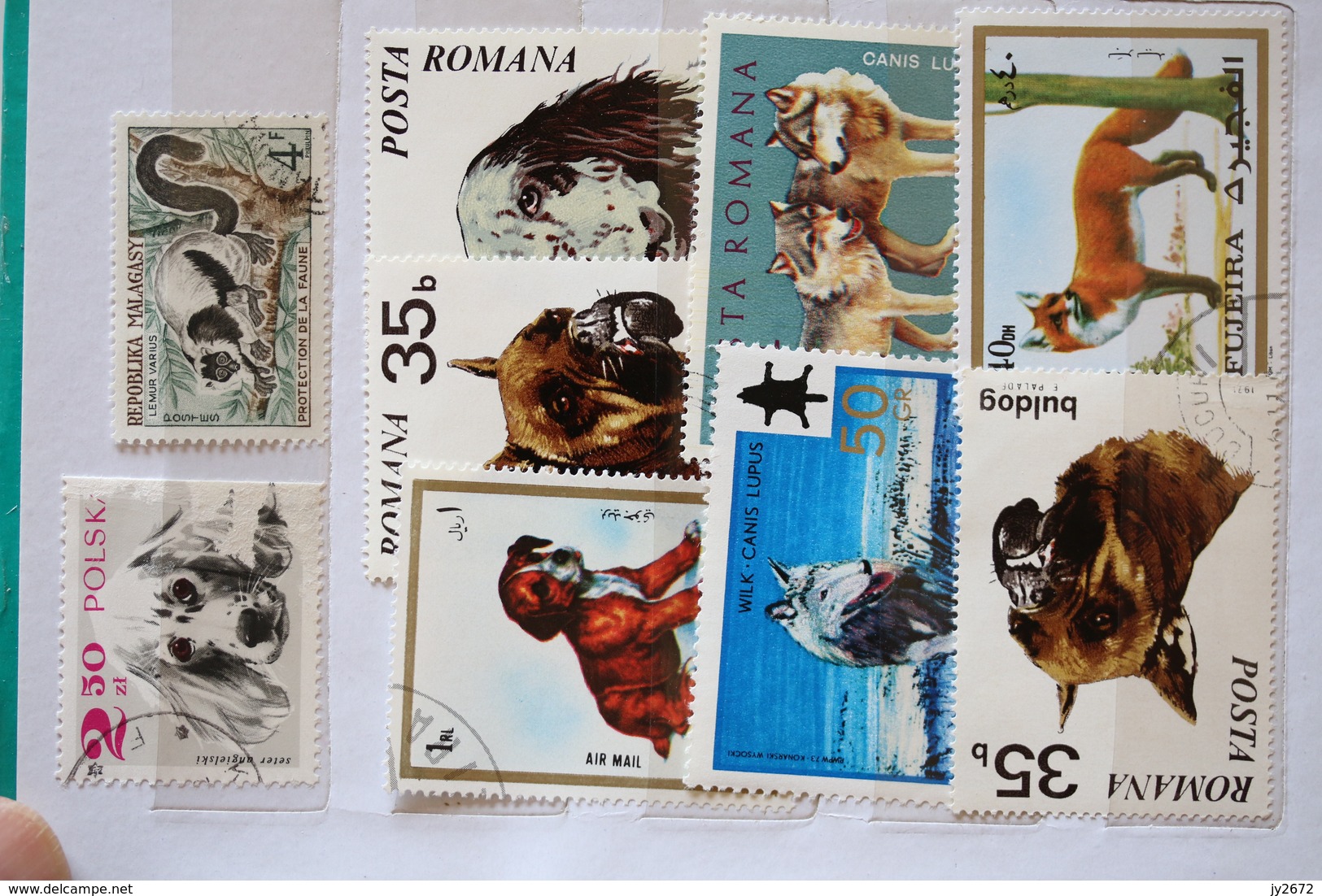 Collection Timbres Animaux, Chiens, Chats, Insectes, Felins Etc - Collections (en Albums)
