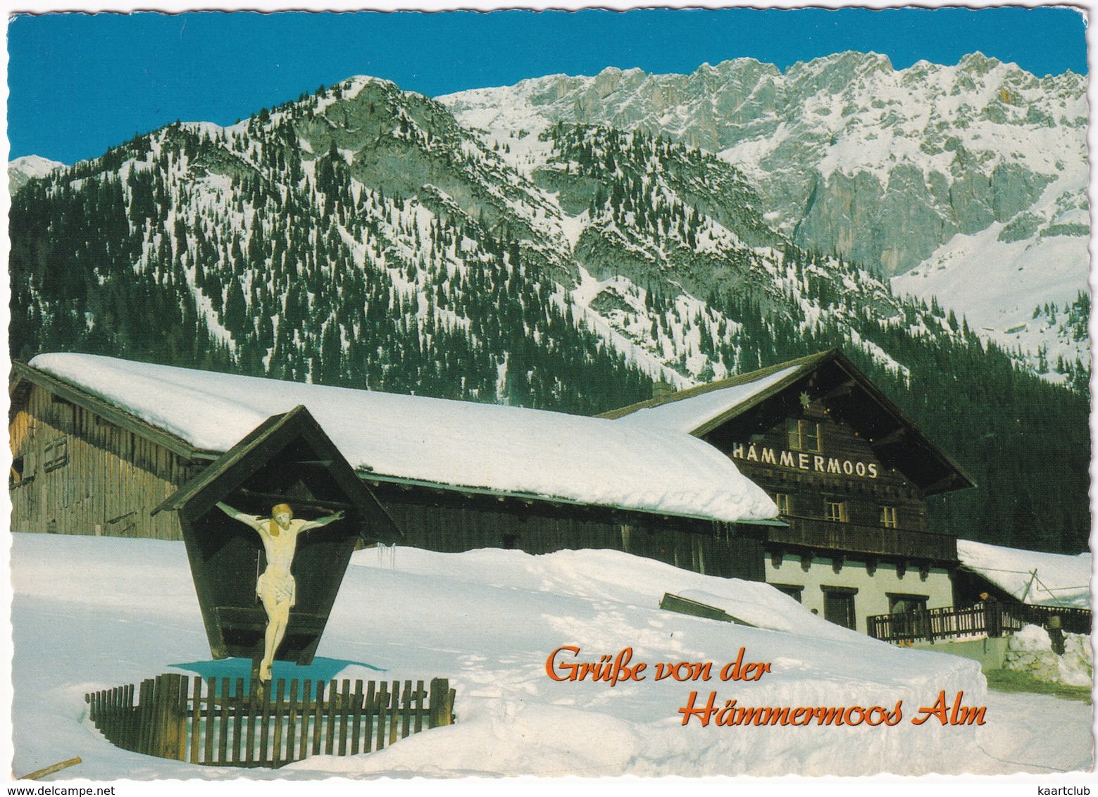 Leutasch - Hämmermoos Alm In Gaistal - Tirol - Leutasch