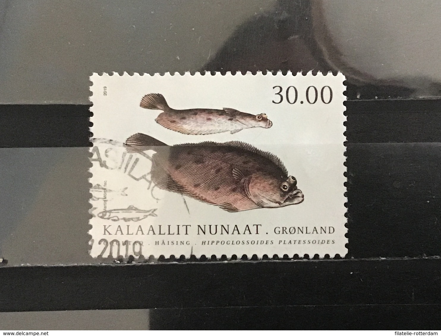 Groenland / Greenland - Vissen (30) 2019 High Value! - Gebraucht