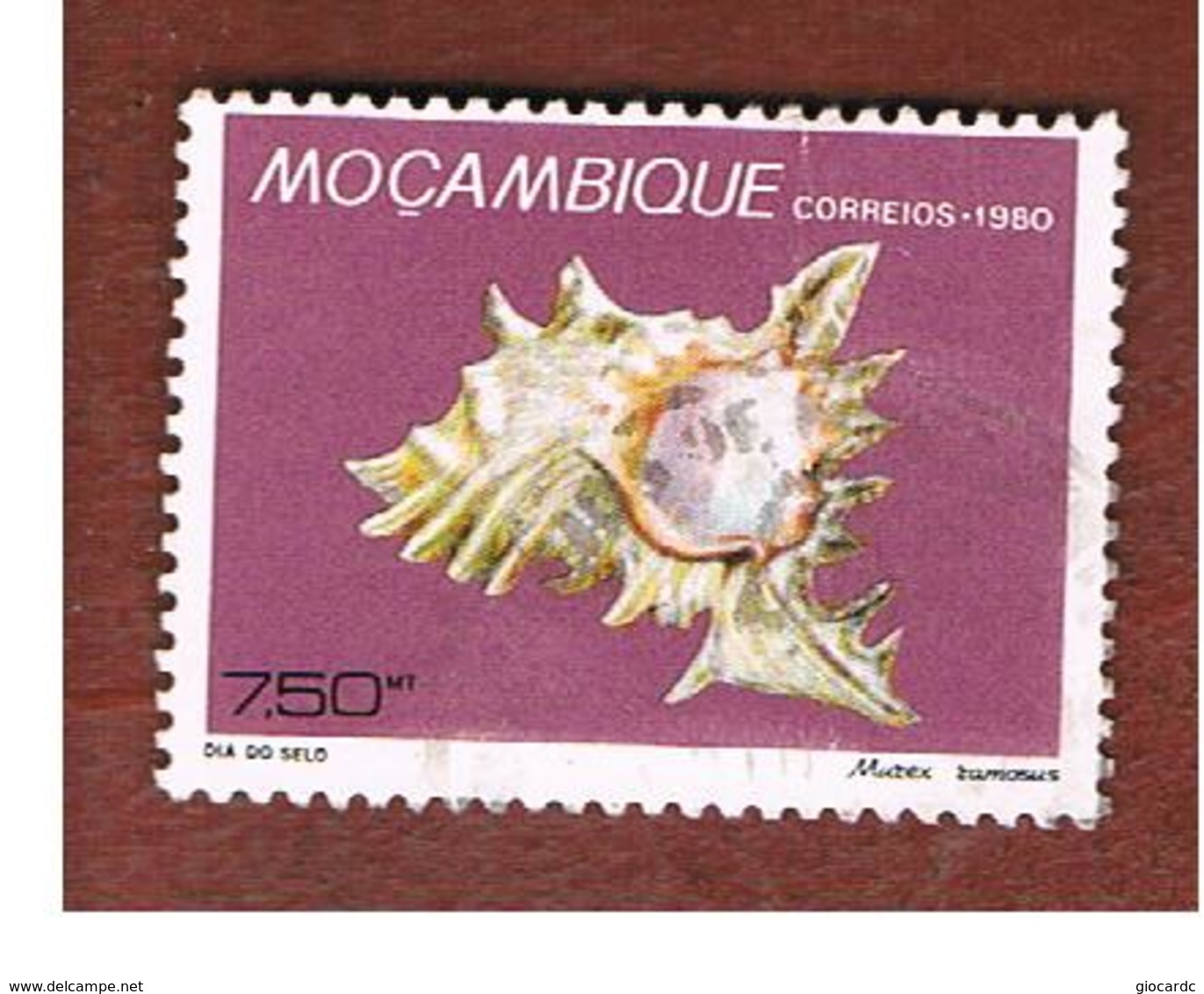 MOZAMBICO (MOZAMBIQUE)   - SG   844  -  1980 STAMP DAY: SHELLS (MUREX RAMOSUS) -  USED - Mozambico