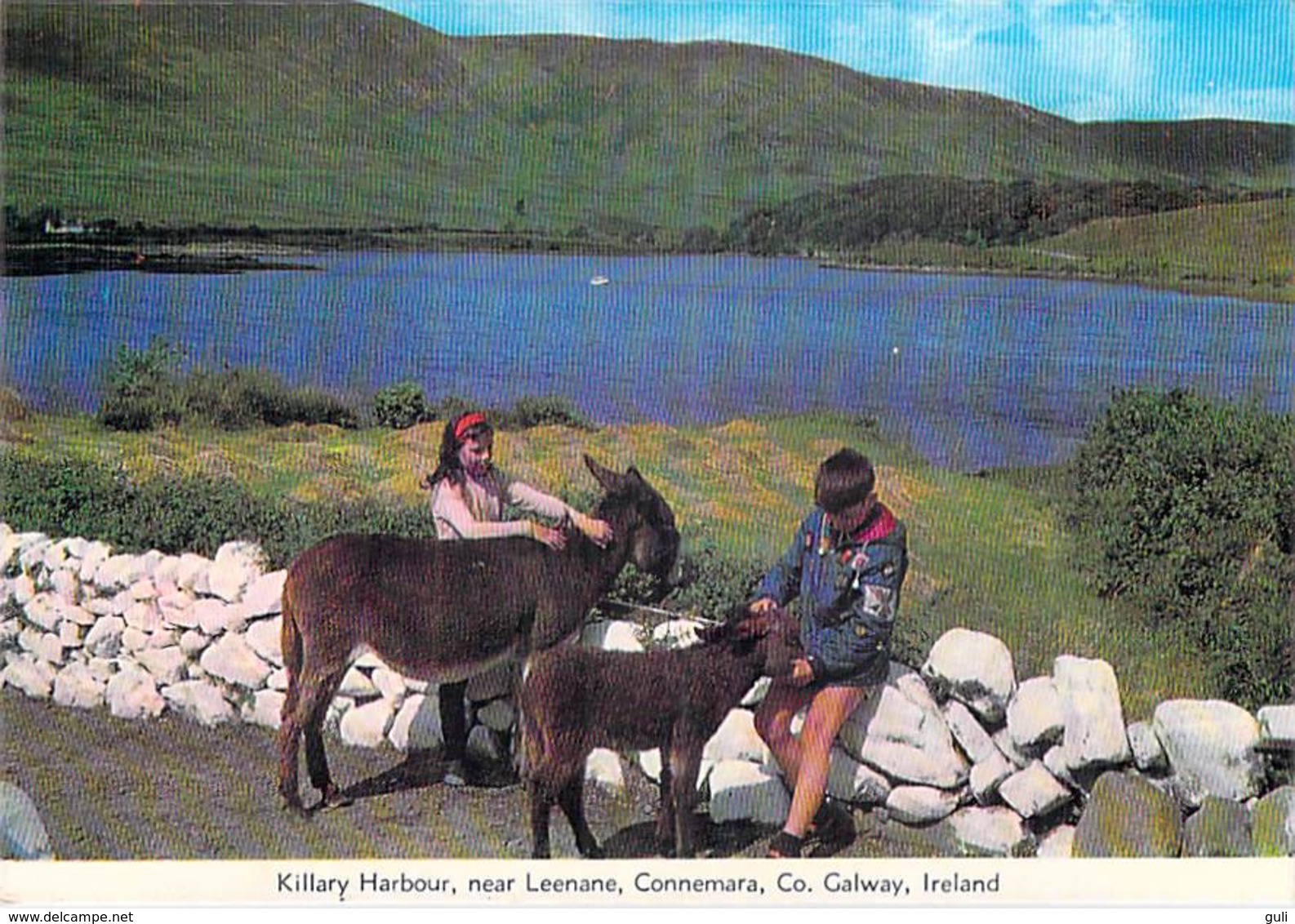 Irlande > Ireland - GALWAY Killary Harbour Near Leenane Connemara  (enfants ânes âne)*PRIX FIXE - Galway