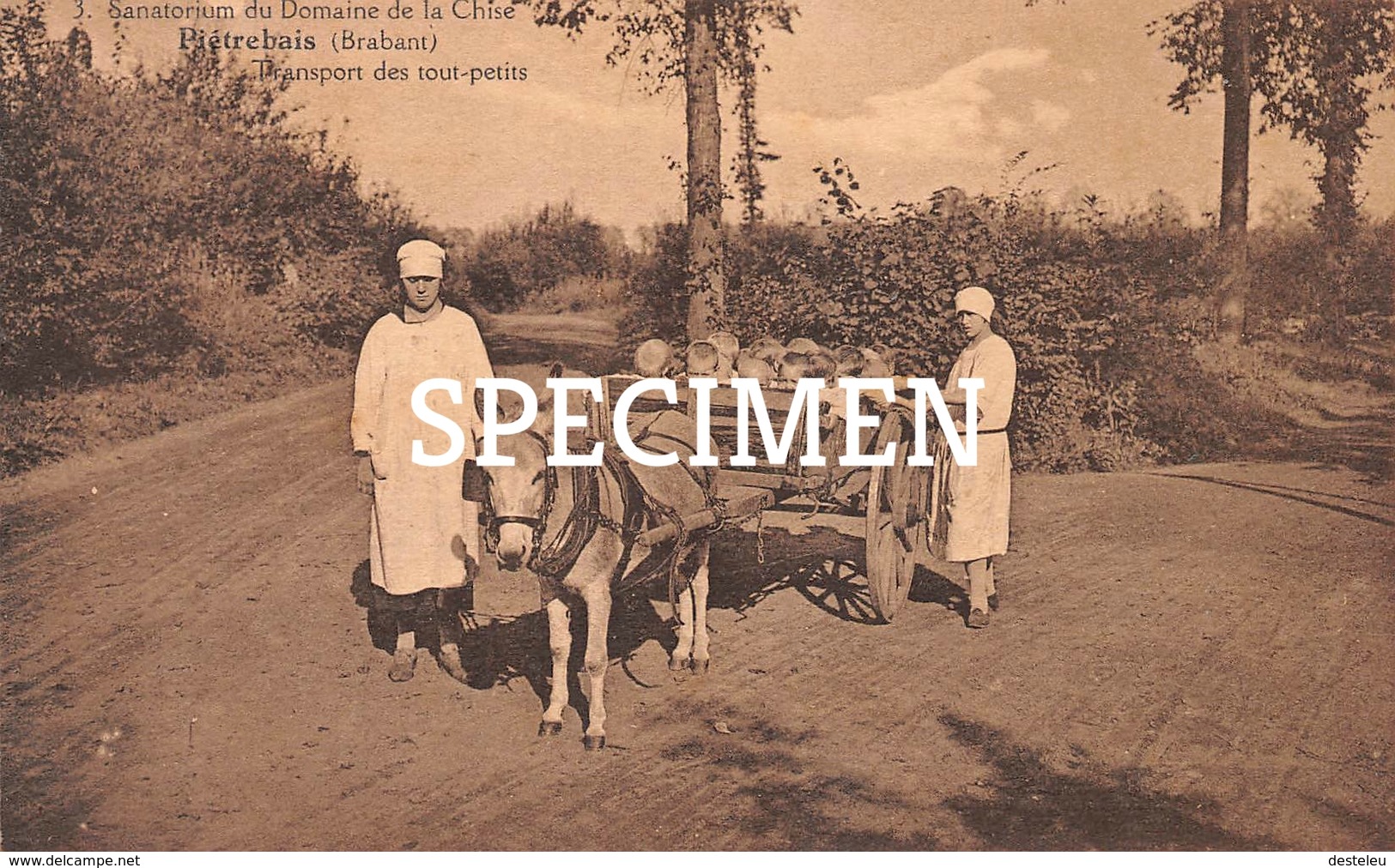 Sanatorium Du Domaine De La Chise : Transport Des Tout-petits - Piétrebais - Incourt