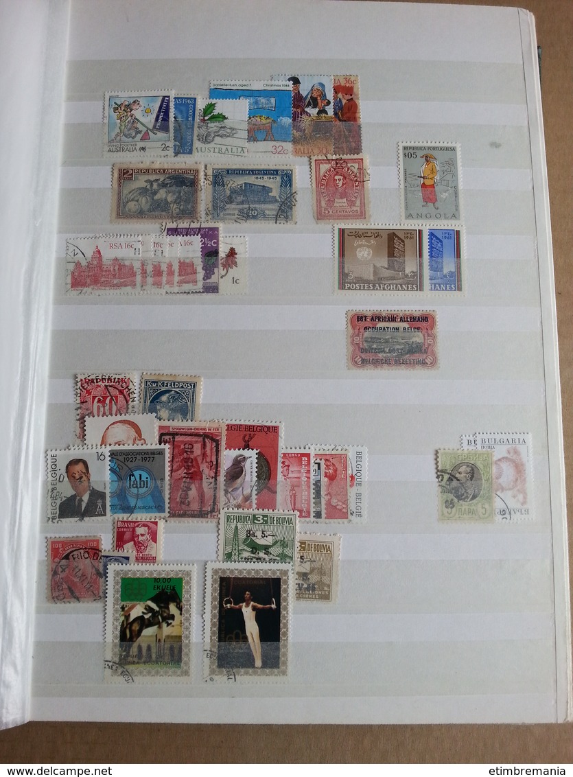 LOT N° E772  THEMATIQUE Un Gros Classeur Neufs Ou Obl. - Collections (en Albums)