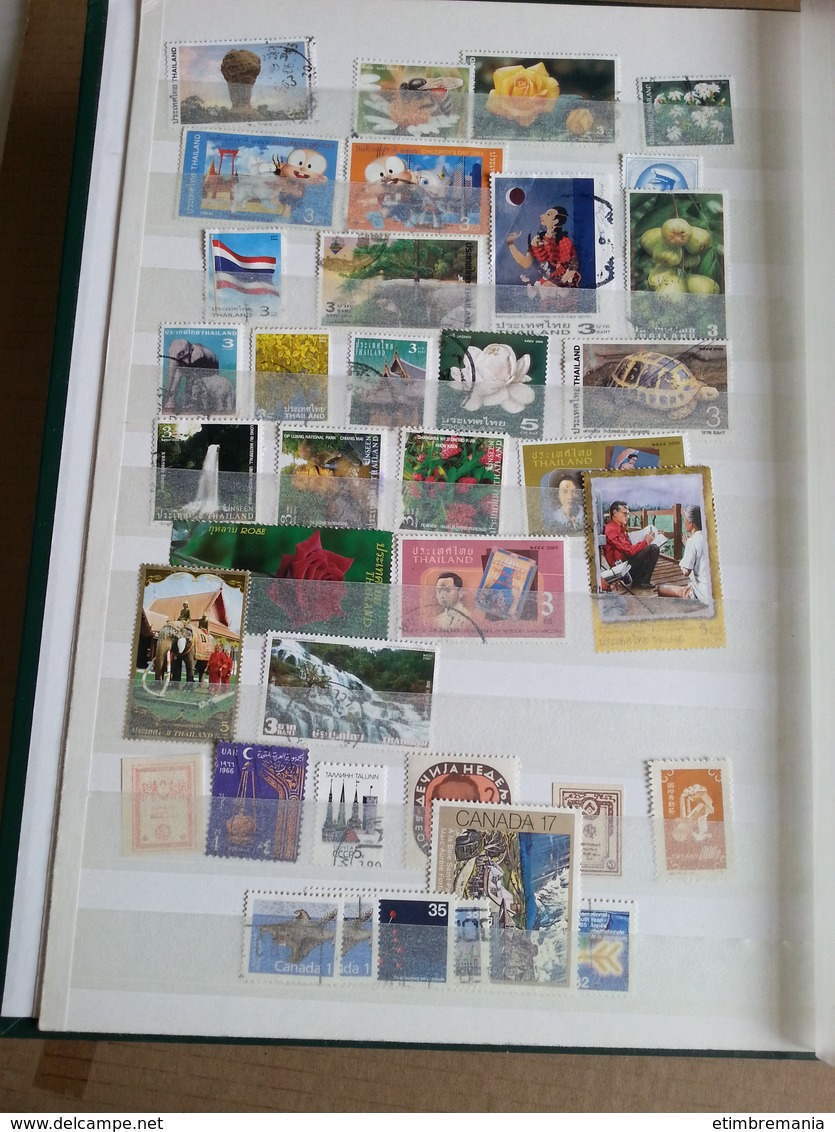 LOT N° E772  THEMATIQUE Un Gros Classeur Neufs Ou Obl. - Collections (en Albums)