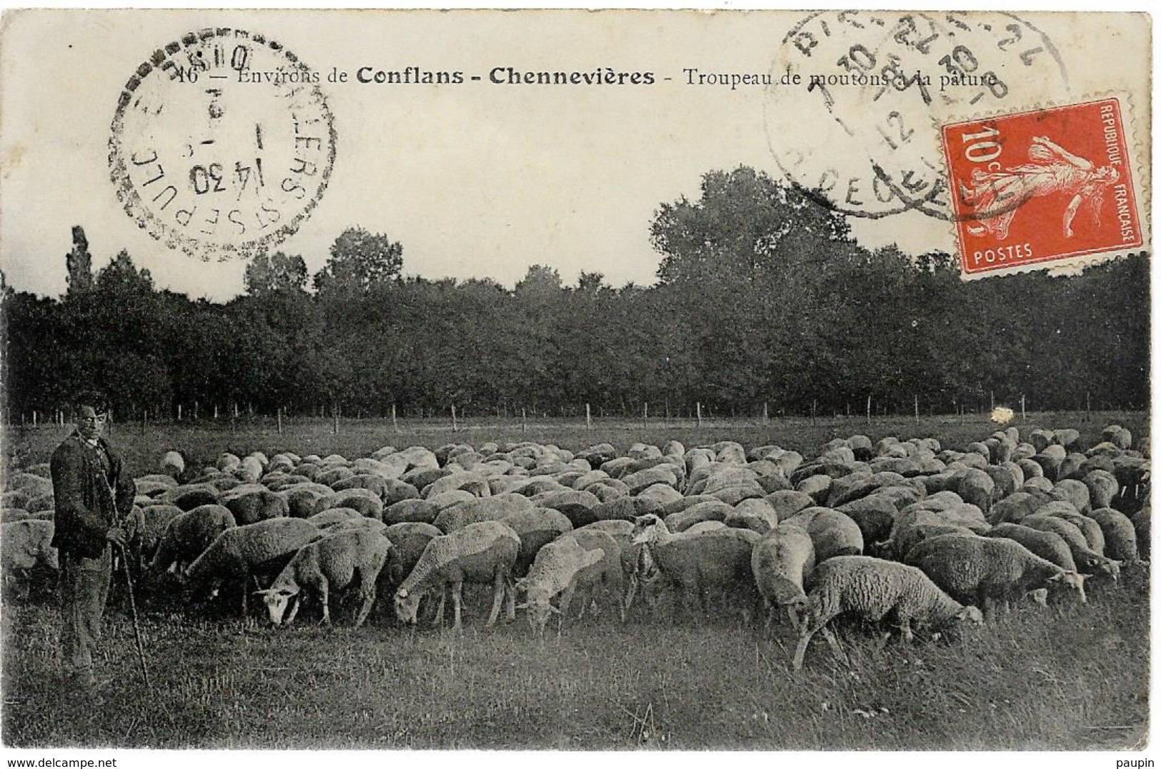 Environs De CONFLANS - CHENEVIERES Troupeau De Moutons à La Pâture - Other & Unclassified