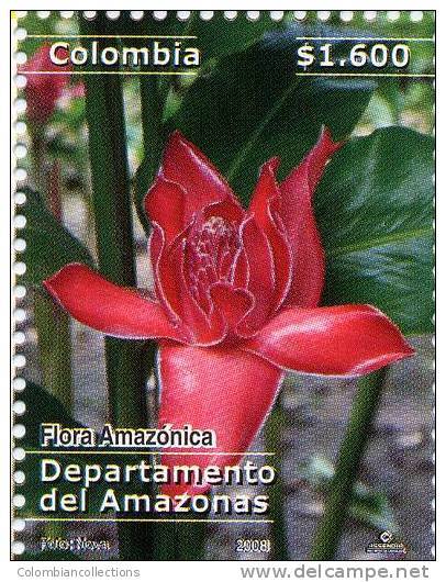 Lote 19b4, Colombia, 2008, Amazonas, Flor, Flower Stamp - Colombia