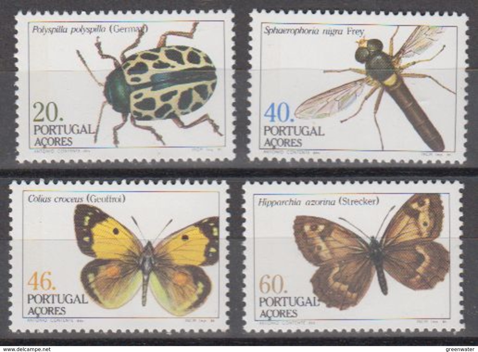 Azores 1985 Insects 4v ** Mnh (44333A) - Azoren