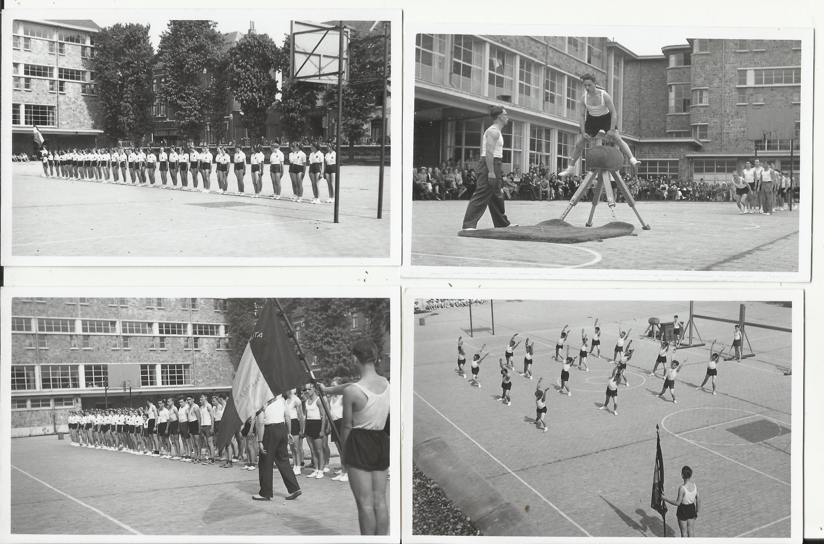 CHIMAY - Athénée Royal De Chimay, Démonstration, Concours De Gymnastique Très Beau Lot De 72 Cartes-photos Différentes - Chimay