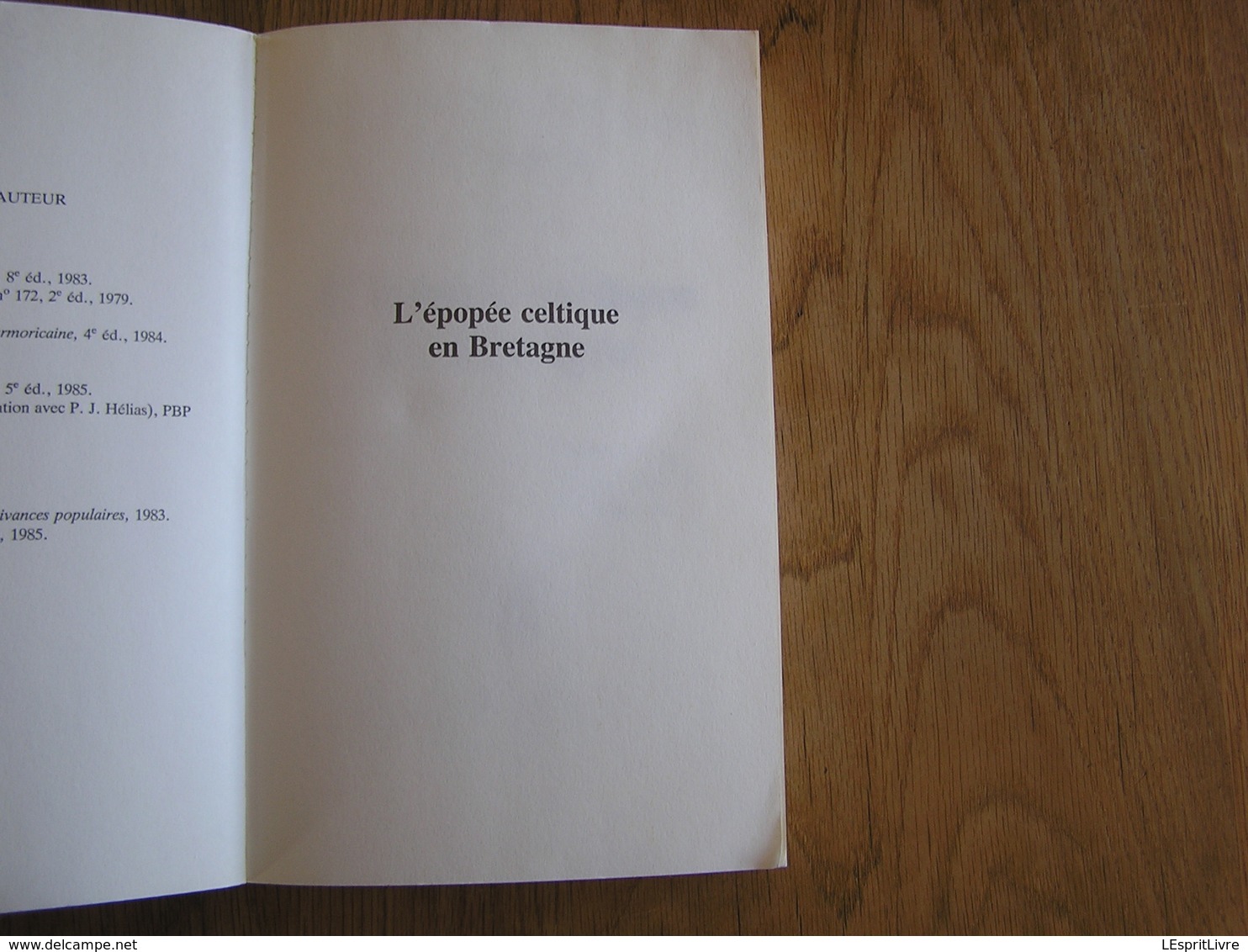 L' EPOPEE CELTIQUE EN BRETAGNE Histoire Celte Moyen Age Europe Gaule France Tradition Littérature Celtes Civilisation - History