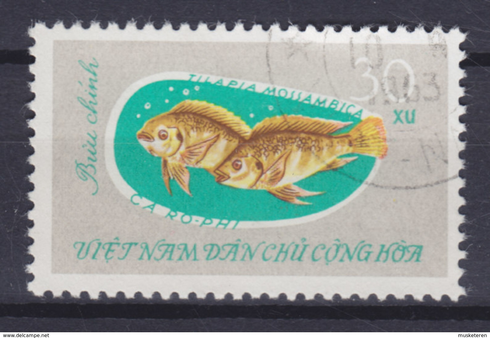 Vietnam 1963 Mi. 274    30 Xu Fish Fische Mosambik-Buntbarsch - Vietnam