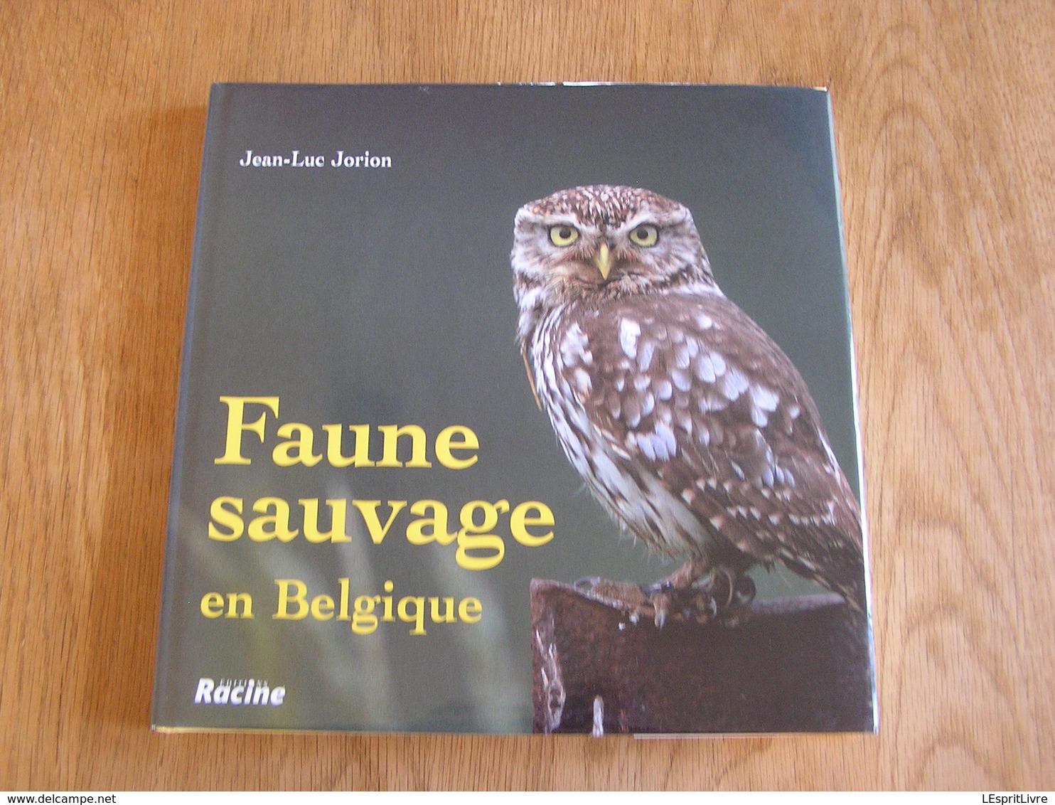 FAUNE SAUVAGE DE BELGIQUE Animaux Oiseaux Mammifères Cerf Sanglier Rapace Renard Hiboux Photographies Photos - Tiere