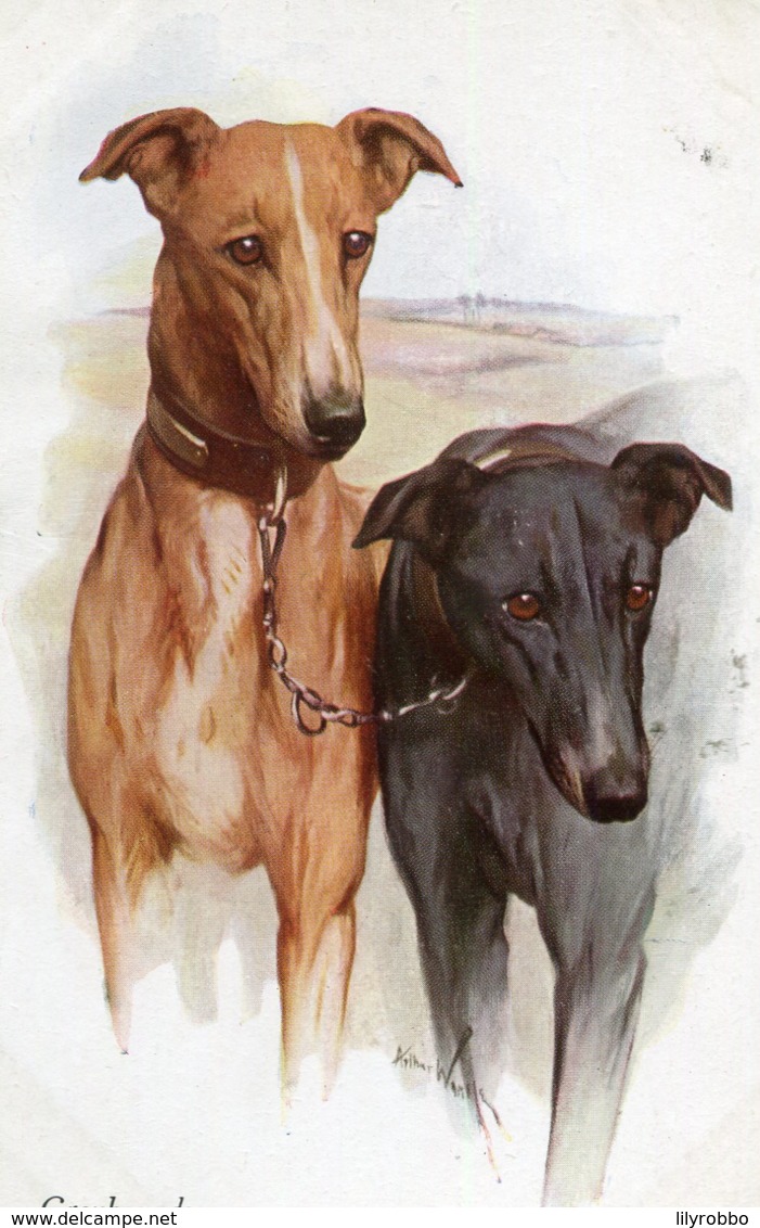 UNITED KINGDOM - GREYHOUNDS - Dogs Artcard - Cani