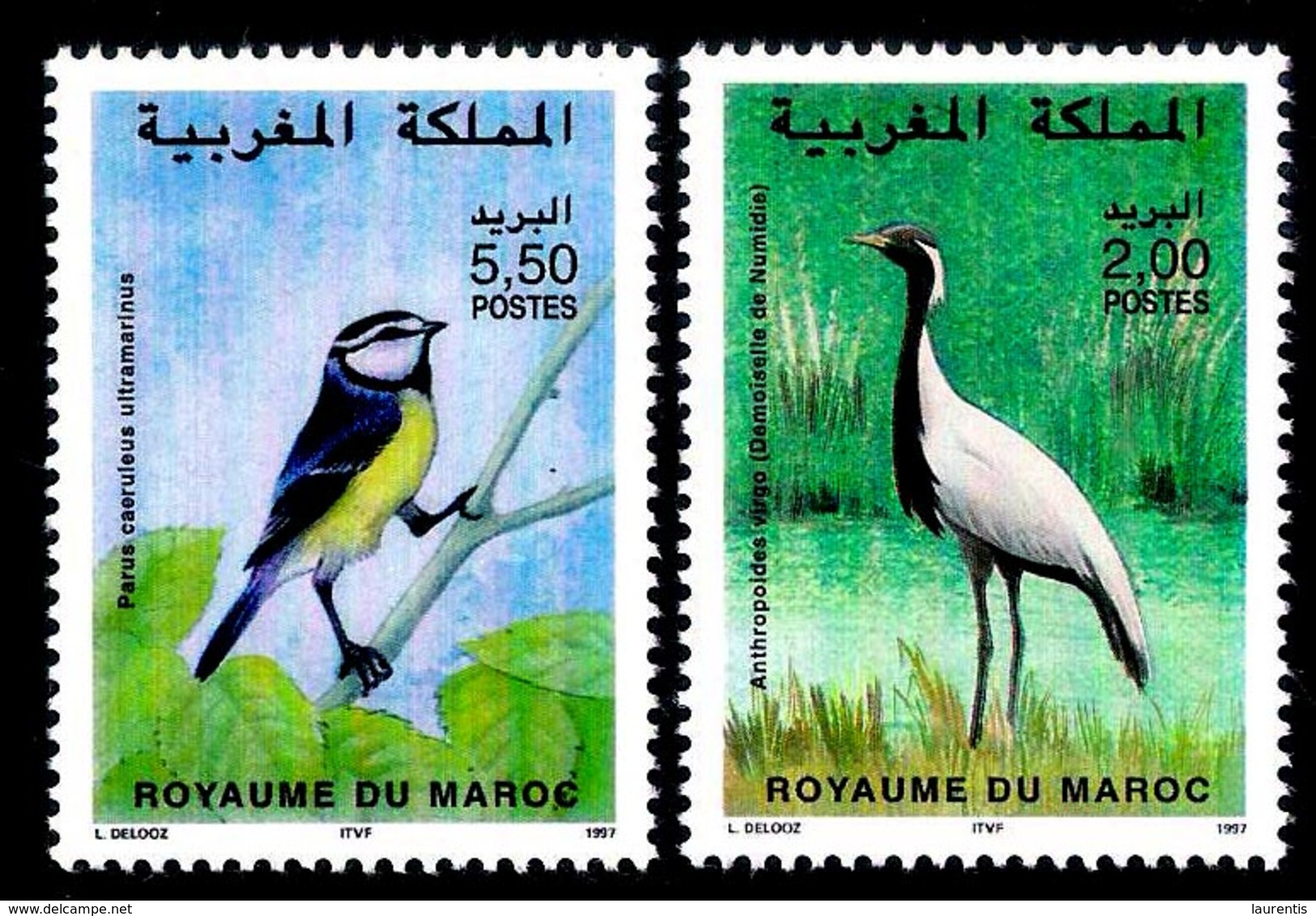 7660  Songbirds - Cranes - Maroc - MNH - 1,50 - Autres & Non Classés