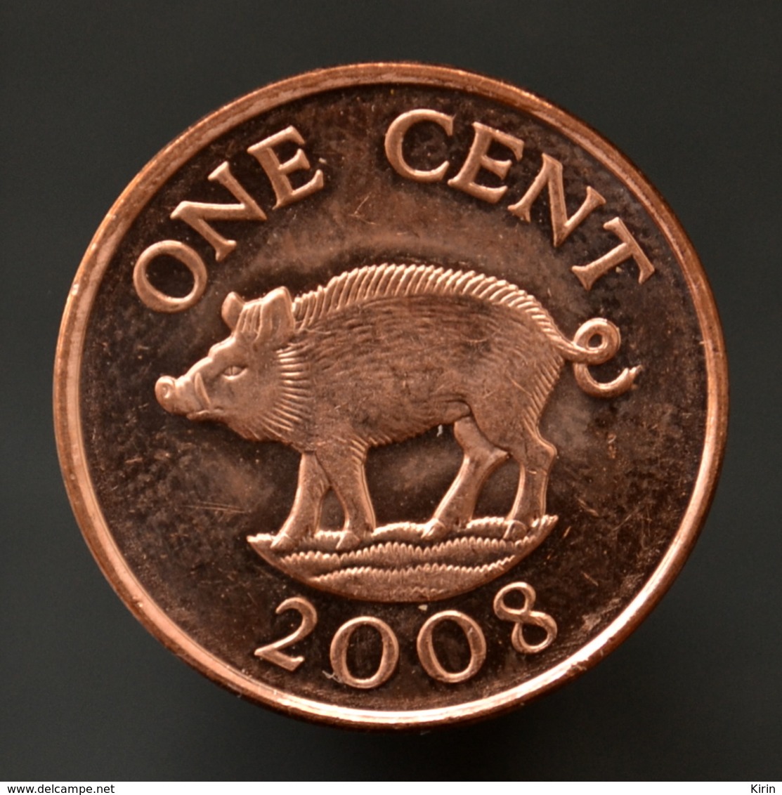 Bermuda 1 Cent Magnetic 2008. Wild Boar, Pig, Animal Wildlife Coin. UNC. Km107a - Bermuda