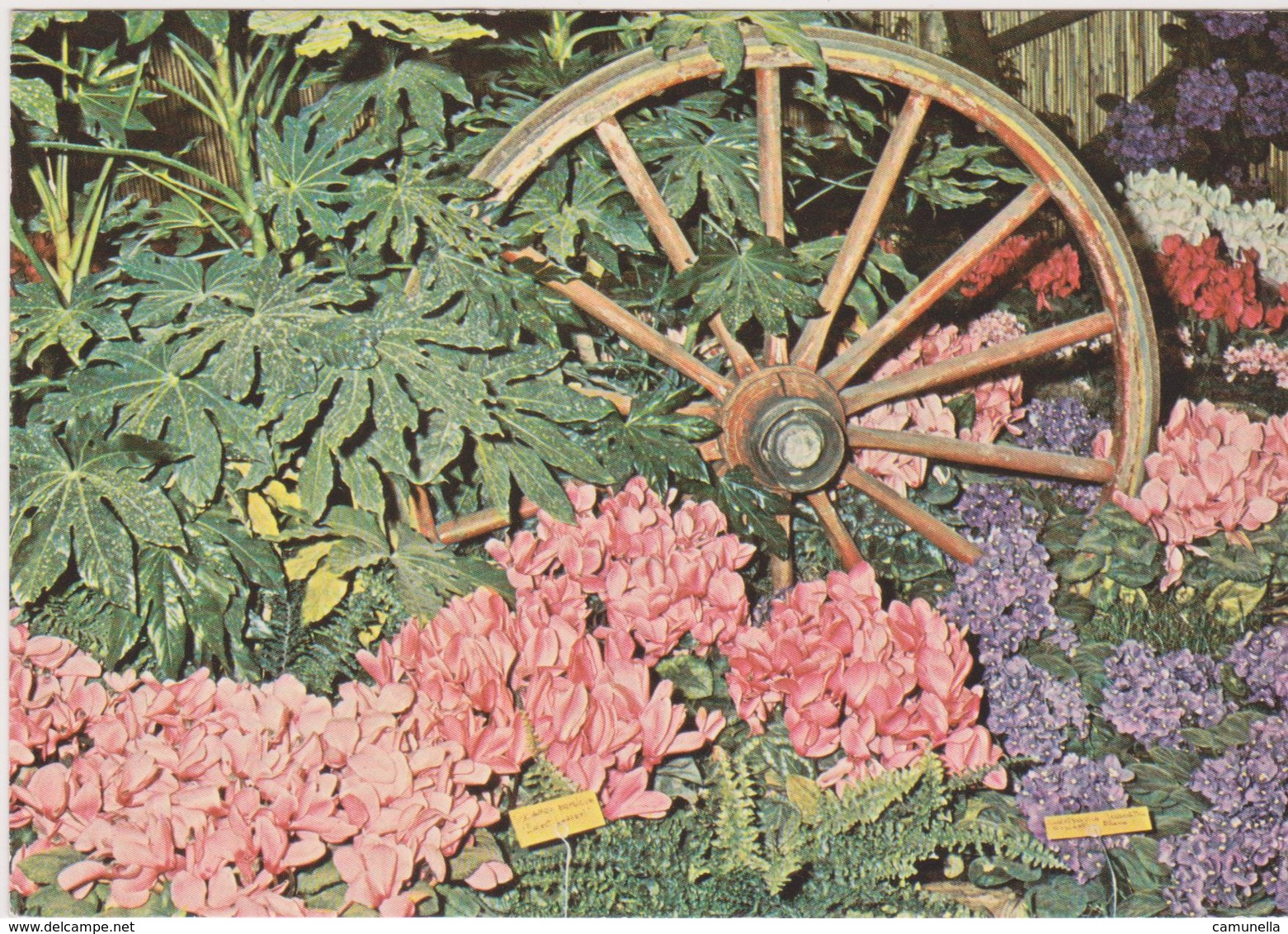 Euroflora 1976-genova - Esposizioni