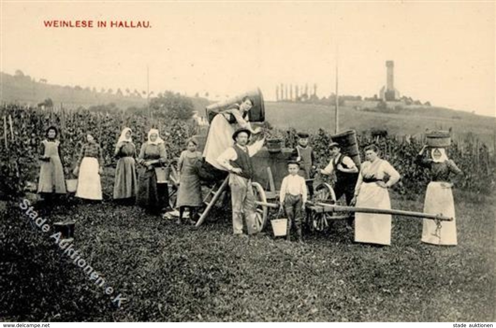 Wein Hallau (8215) Schweiz Weinlese I-II Vigne - Ausstellungen