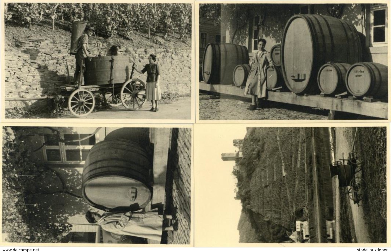 Wein Rheinland-Pfalz Weinlese Fässer Weinberg Lot Mit 4 Foto-Karten I-II Vigne - Ausstellungen