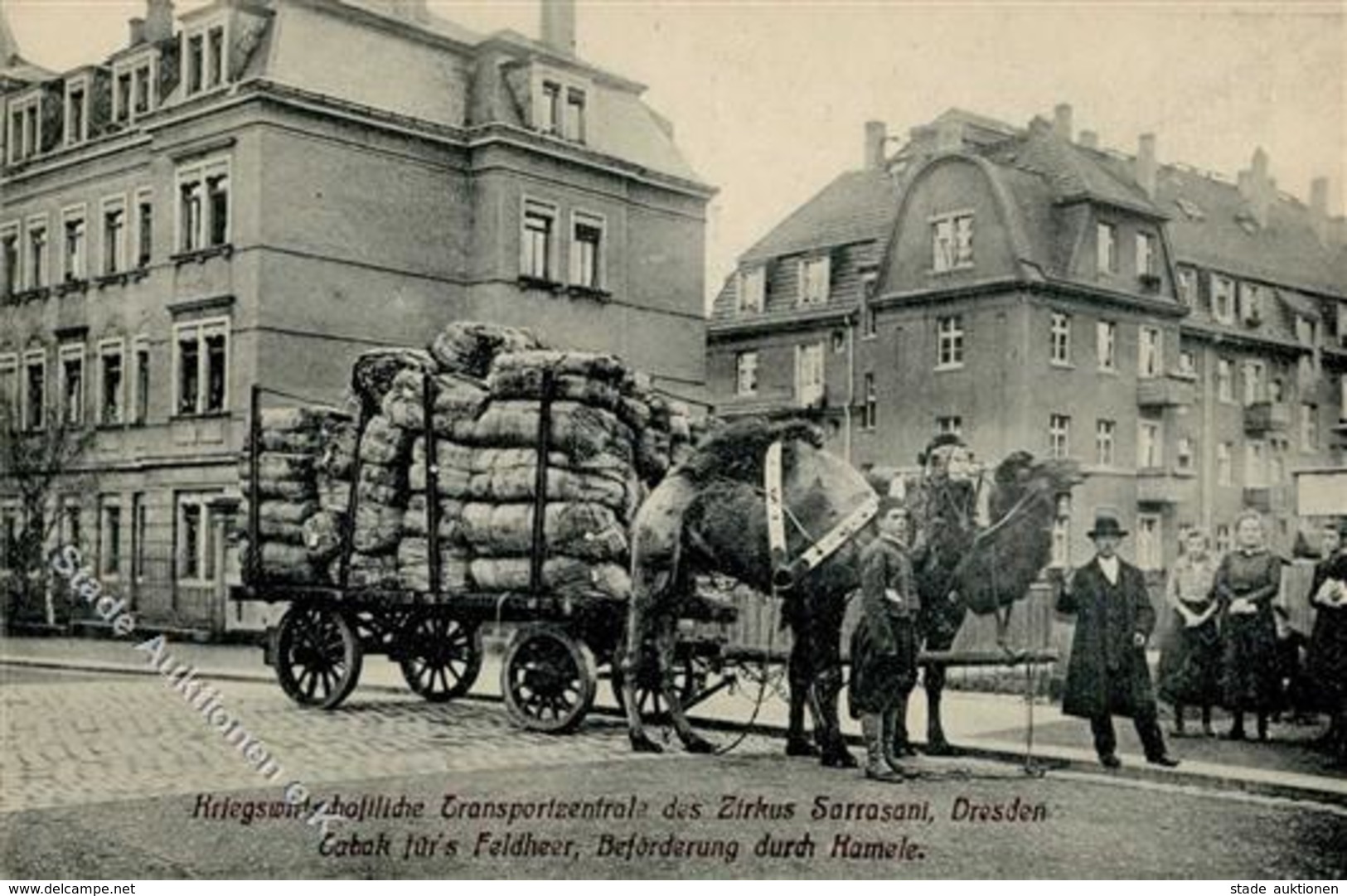 Zirkus Dresden (O8000) Sarrasani Kriegswirtschaftliche Transportzentrale Kamele I-II - Cirque