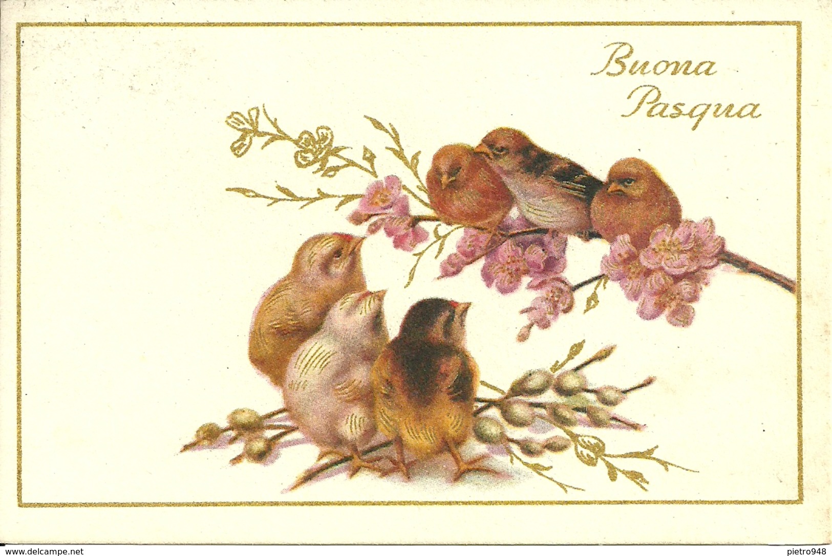 Cartolina "Buona Pasqua", Uccellini Su Un Ramoscello E Pulcini (S28) - Pâques