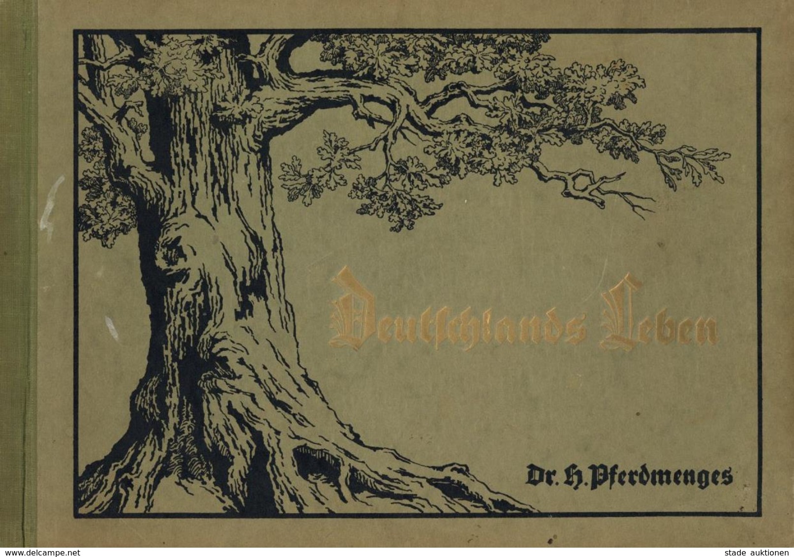 Buch Politik Deutsches Leben Pferdmenges, H. Dr. 1930 Verlag Deutsches Haus 12 Kapitel Mit 12 Kartenbildern II (Einband  - Sin Clasificación