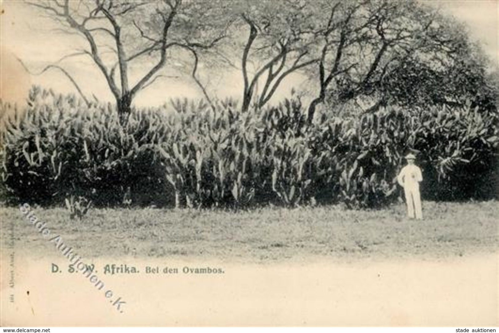 Kolonien Deutsch Südwestafrika Bei Den Ovambos 1907 I-II Colonies - Histoire