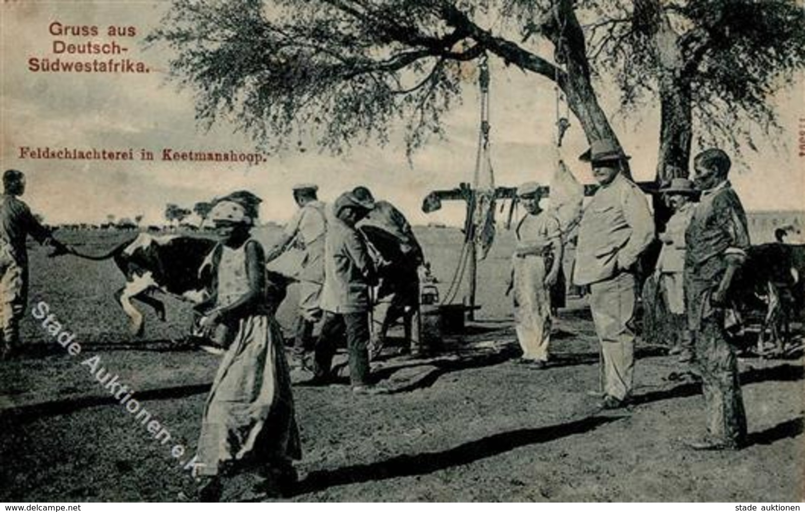 Kolonien Deutsch Südwestafrika Keetmannshoop Feldschlachterei 1909 I-II (fleckig) Colonies - Histoire