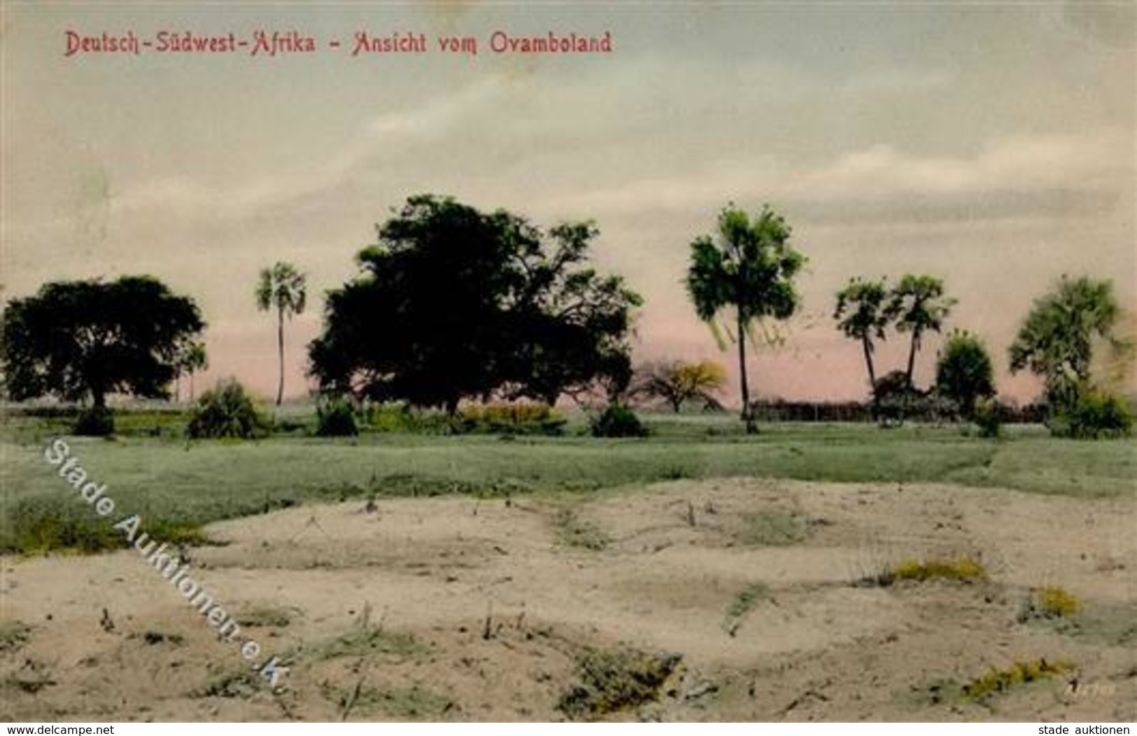 Kolonien Deutsch Südwestafrika Ovamboland I-II Colonies - Histoire