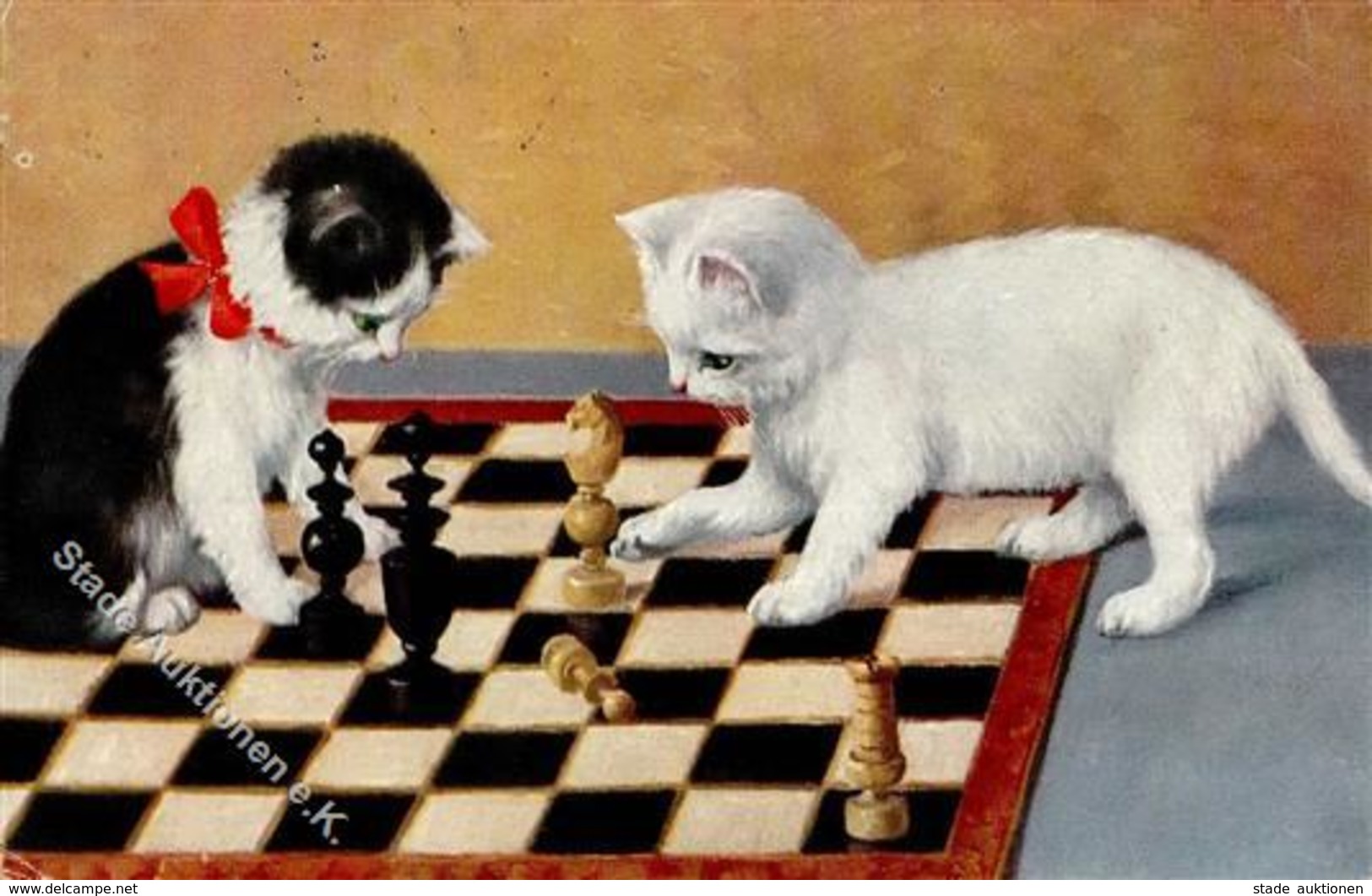Schach Katzen  I-II Chat - Echecs