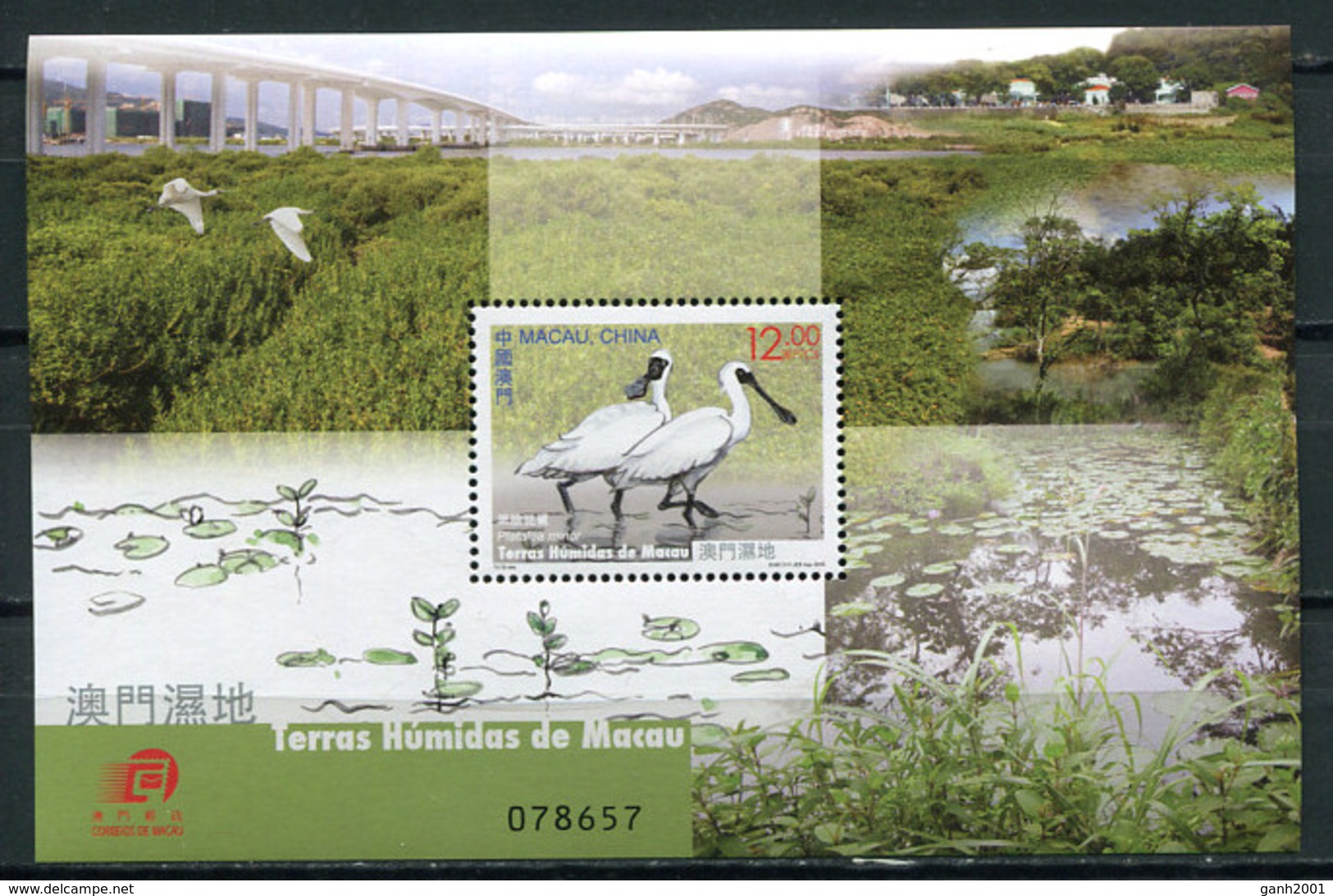 Macau 2015 Macao / Birds MNH Vögel Aves Oiseaux / Cu3419  18-19 - Otros & Sin Clasificación