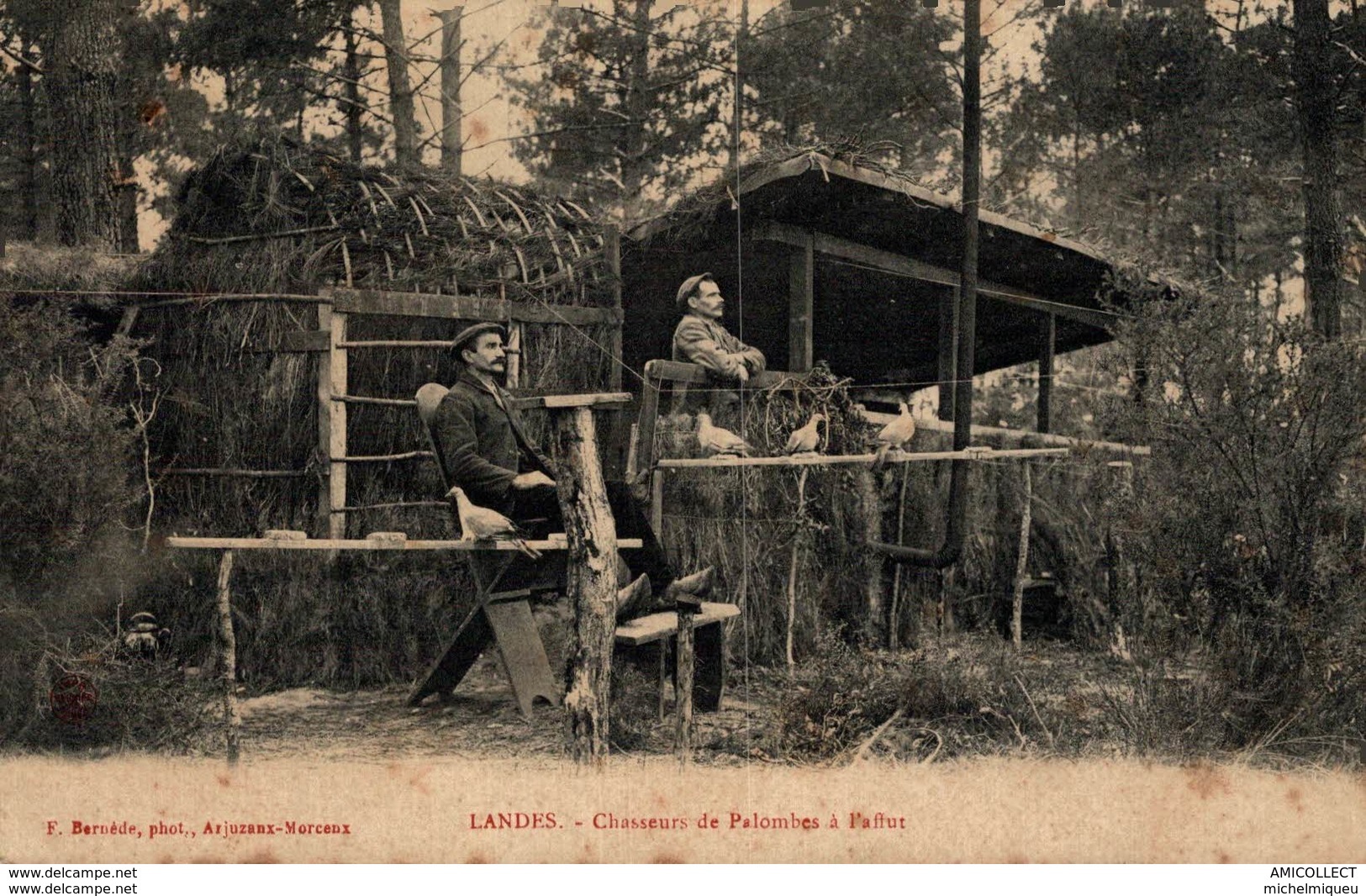 9873 -2018           LANDES     CHASSEURS DE PALOMBES A L AFFUT - Sonstige & Ohne Zuordnung