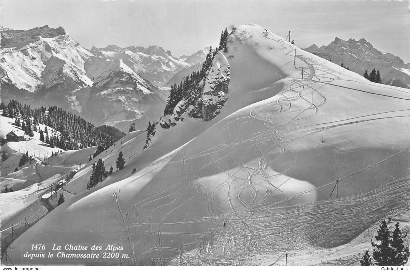 La Chaîne Des Alpes Depuis Le Chamossaire -  Villars-Gryon - Gryon