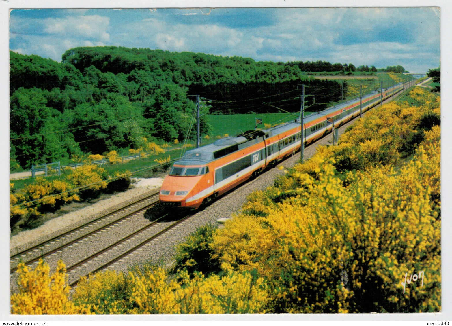 FRANCE  RECORD DU MONDE     TRAIN- ZUG- TREIN- TRENI- GARE- BAHNHOF- STATION- STAZIONI  2 SCAN (VIAGGIATA) - Treni