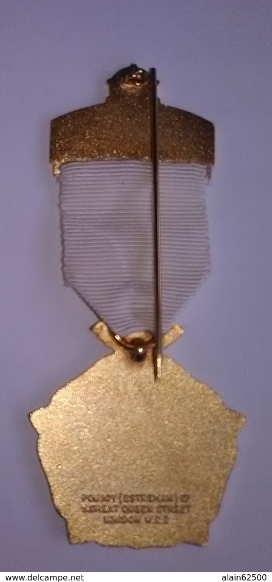 MEDAILLE ROYALE MACONNIQUE . R.M.I.G . INSTITUTION POUR FILLES . 1972 . - Professionnels/De Société