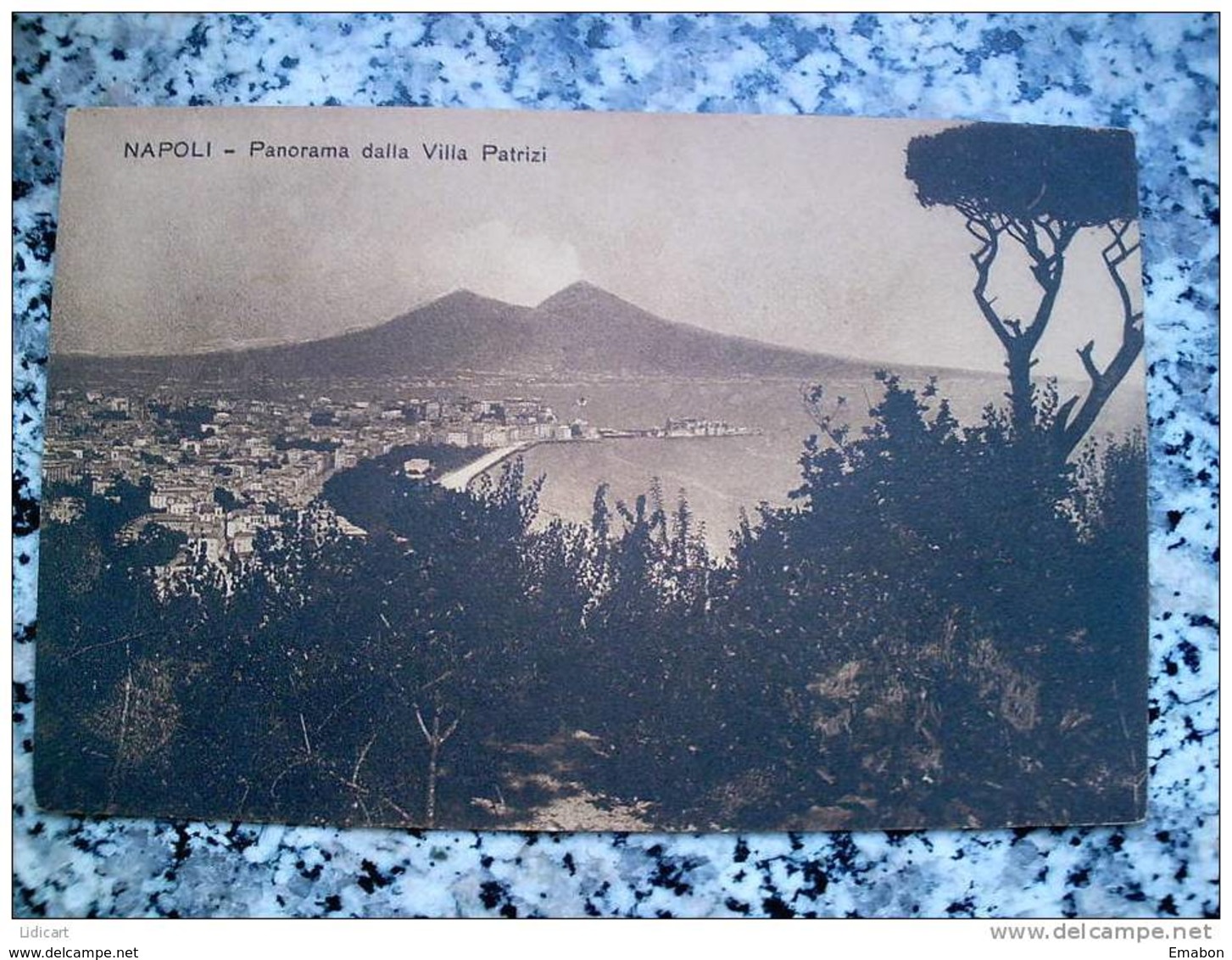 ITALY CAMPANIA - NAPOLI ( NAPOLI ) PANORAMA DALLA VILLA PATRIZI - VIAGGIATA REGNO 1912 - Napoli