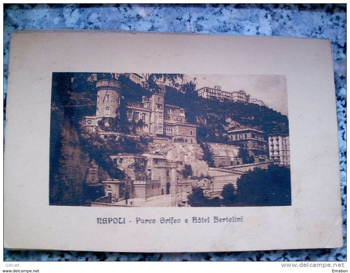 ITALY CAMPANIA - NAPOLI ( NAPOLI ) PARCO GRIFEO E HOTEL BERTOLINI - VIAGGIATA REGNO 1926 - Napoli
