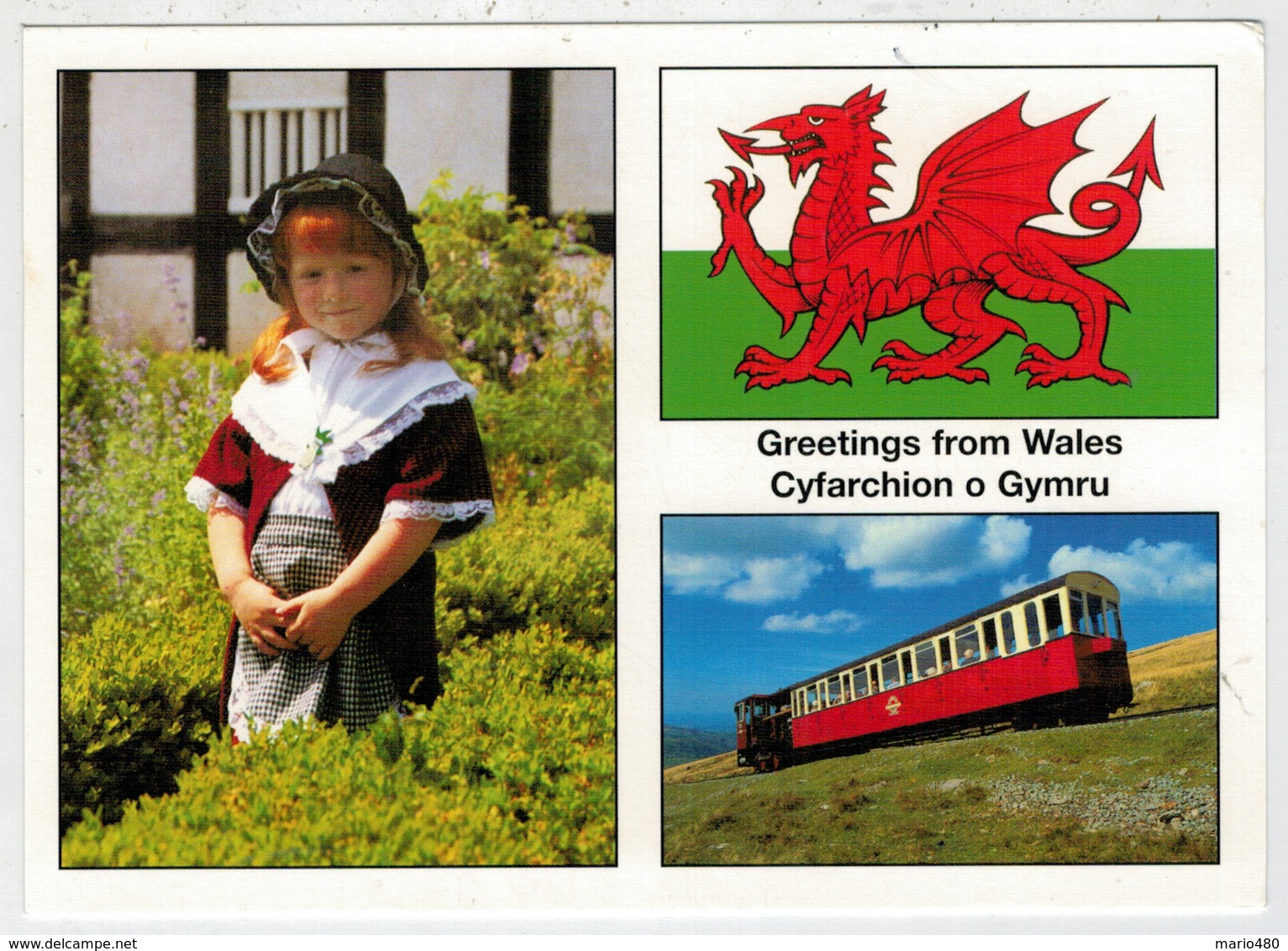 ENGLAND           TRAIN  ZUG  TREIN  TRENI  GARE  BAHNHOF  STATION  STAZIONI  2 SCAN (NUOVA) - Trains