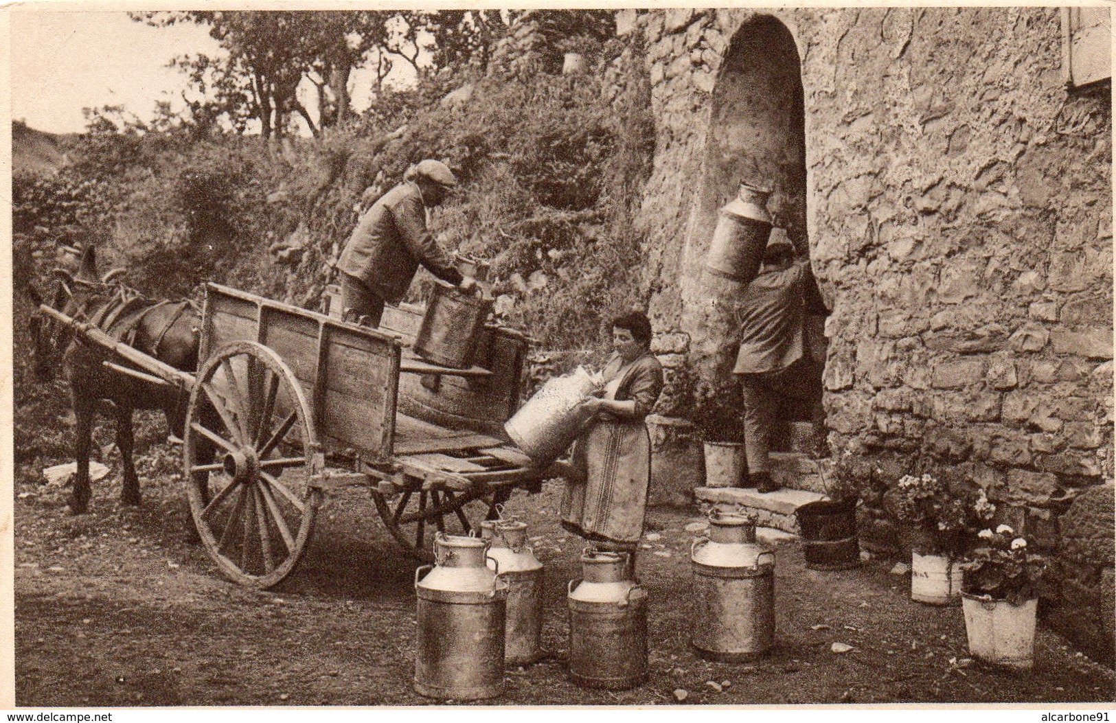 ROQUEFORT - Réception Du Lait - Roquefort