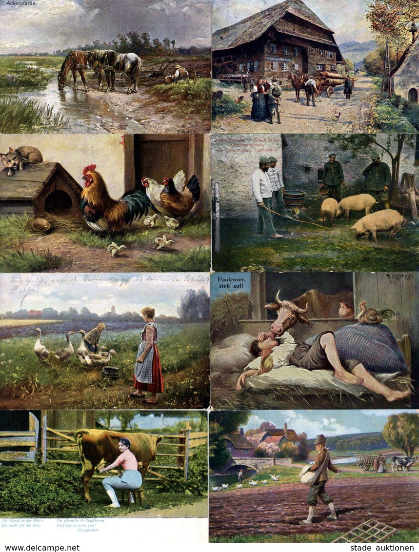 Landwirtschaft Bäuerliches Leben Partie Mit Circa 500 Ansichtskarten 1900 Bis 1930 I-II Paysans - Ausstellungen