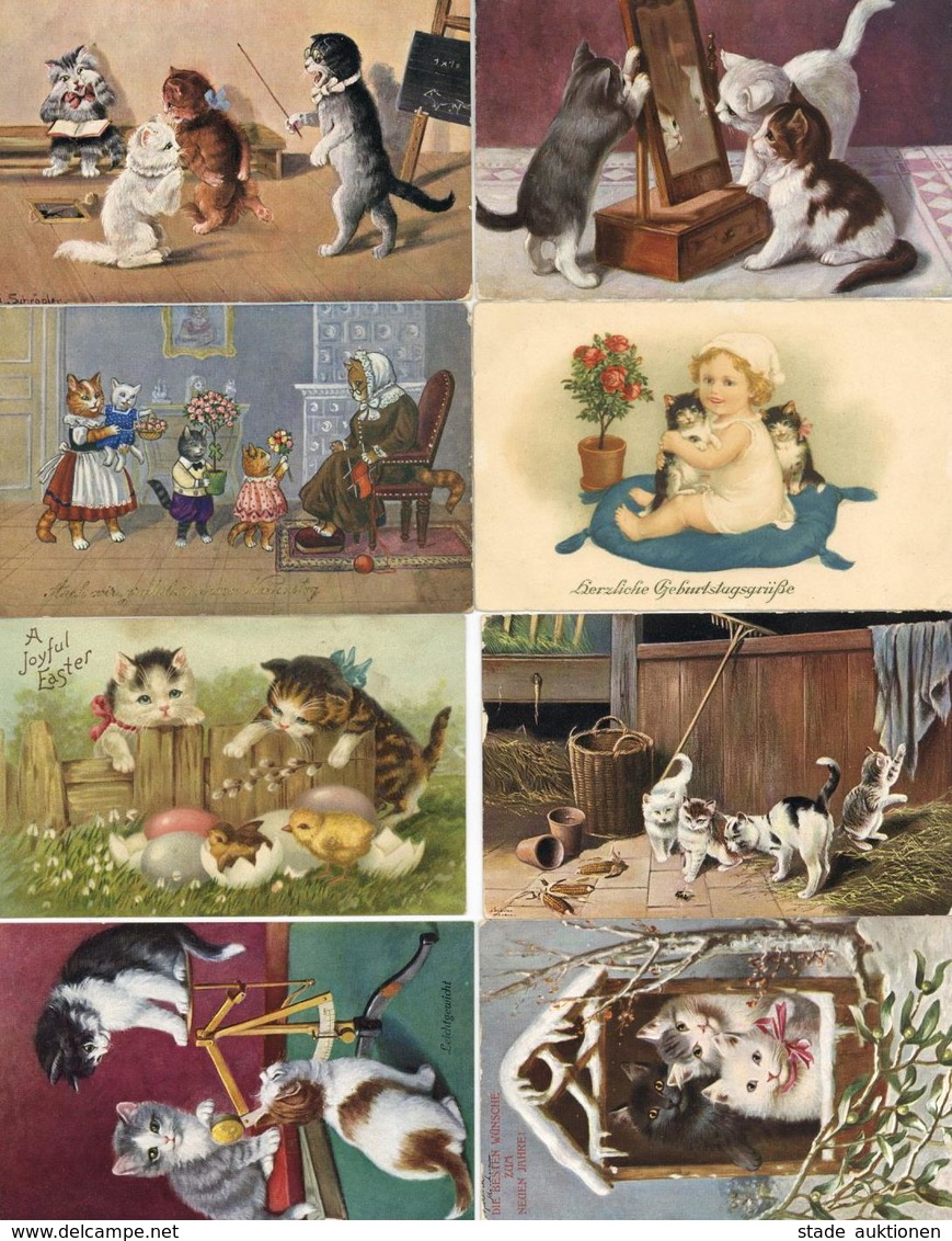 Katze Album Mit Circa 150 Karten Alte Katzenmotive Teils Personifiziert Vor 1945 I-II Chat - Gatti